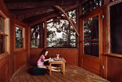 Adirondack Cabin Rentals